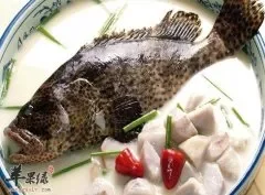 石斑鱼的挑选方法 帮你吃优质石斑鱼