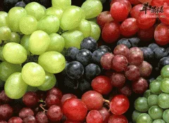 盘点补铁的水果　铁元素能预防贫血