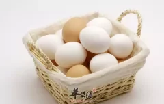 六种鸡蛋营养吃法推荐 一起学学