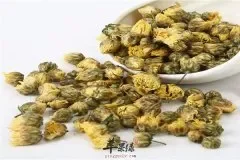 菊花养肝茶——清肝火养眼润肺解毒