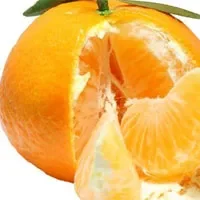 柑橘可增强人体免疫力