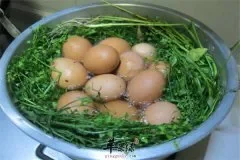 荠菜花煮鸡蛋——清热利水