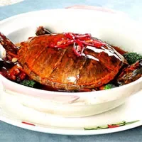 红烧龟肉：滋阴补血