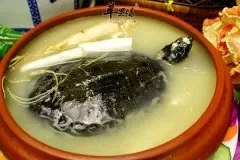 清炖甲鱼汤做法