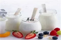 自制脱脂酸奶——防便秘美容养颜