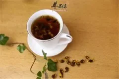 桂花去火茶——清热解毒去火化痰