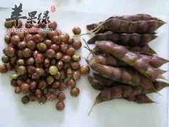 木豆的营养丰富 推荐木豆的美味吃法