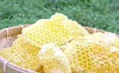 蜂蜡可以治疗哪些疾病