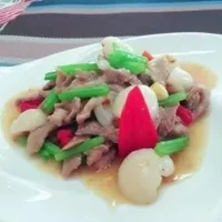 荔枝肉片