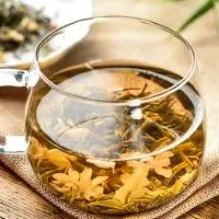 茉莉花茶的功效与作用及禁忌,喝茉莉花茶的功效作用与禁忌有哪些
