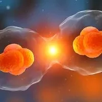 原核细胞和真核细胞的区别,原核细胞和真核细胞有什么不同