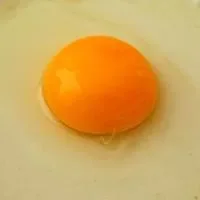 鸡蛋黄的功效与作用_鸡蛋黄的食用禁忌