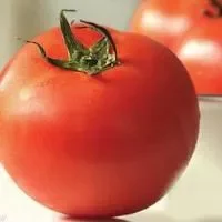 番茄的功效与作用_番茄的营养价值
