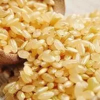 糙米的功效与作用_糙米的营养价值