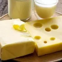 乳酪的功效与作用_乳酪的营养价值