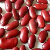红芸豆的功效与作用_红芸豆的选购技巧