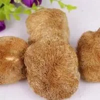 猴头菇的选购技巧_猴头菇的制作技巧