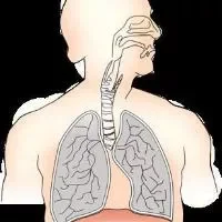 呼吸性酸中毒的病因,呼吸性酸中毒该怎么治疗
