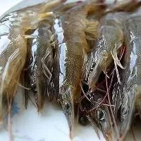 河虾的营养价值,关于河虾食疗