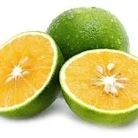 绿橙的功效与作用_绿橙的营养成分