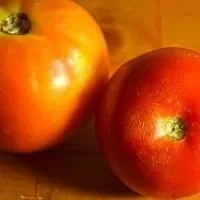 晚间西红柿减肥食谱,晚上怎么吃西红柿可以瘦身