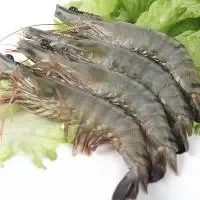 斑节对虾的营养价值_斑节对虾的食疗价值