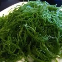 海藻,胖子老公的减肥食物