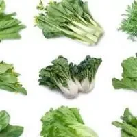 绿叶蔬菜富含人体所需10大元素