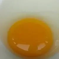 鸡蛋黄—鸡蛋的营养精华