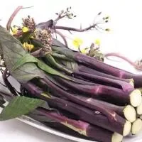 红菜苔的功效与作用_红菜苔的营养价值