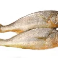 小黄花鱼的家常做法,小黄花鱼的营养价值及适宜人群