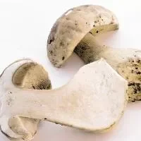 洗蘑菇水变奶白色,亚硫酸钠过量