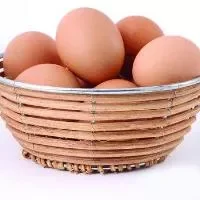 绿壳鸡蛋营养丰富,保健功效高