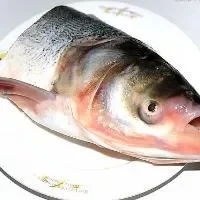 鱼头的选购技巧_鱼头的食用方法