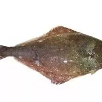 鸦片鱼的营养价值_鸦片鱼的制作技巧