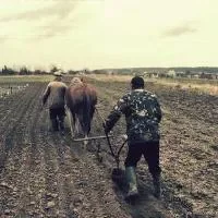 怎么治疗阳痿好,治疗阳痿有什么方法