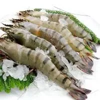海白虾水煮虾的做法_海白虾清蒸虾饼的做法