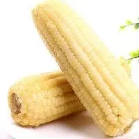 玉米：最适合中国人通肠道