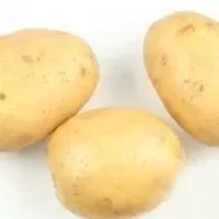 土豆的功效与作用_土豆的营养价值
