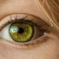 视膜色素变性是什么,视膜色素变性需要手术治疗吗