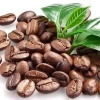咖啡豆如何选咖啡才能美味还健康？