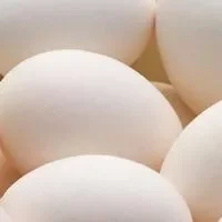白皮鸡蛋的功效与作用_白皮鸡蛋的适合体质