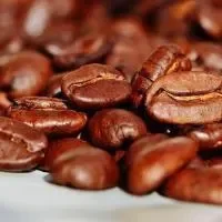 两大咖啡豆种类及特点,咖啡豆的知识