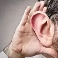 传导性耳鸣的原因是什么呢