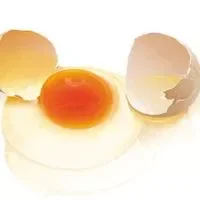 鸡蛋黄的颜色深浅有何不同