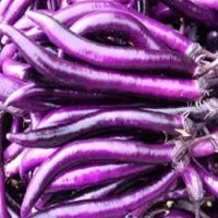 如何挑选紫皮茄子_紫皮茄子的制作技巧