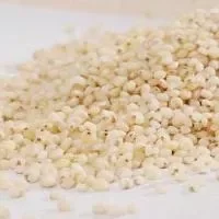 高粱米的选购技巧_高粱米的存储