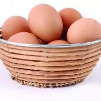 蛋黄营养多吃鸡蛋不可掉蛋黄