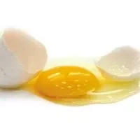 蛋黄的食用_蛋黄的概述