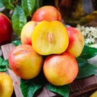 桃子和西瓜一起吃会中毒吗,桃子不能和什么一起吃